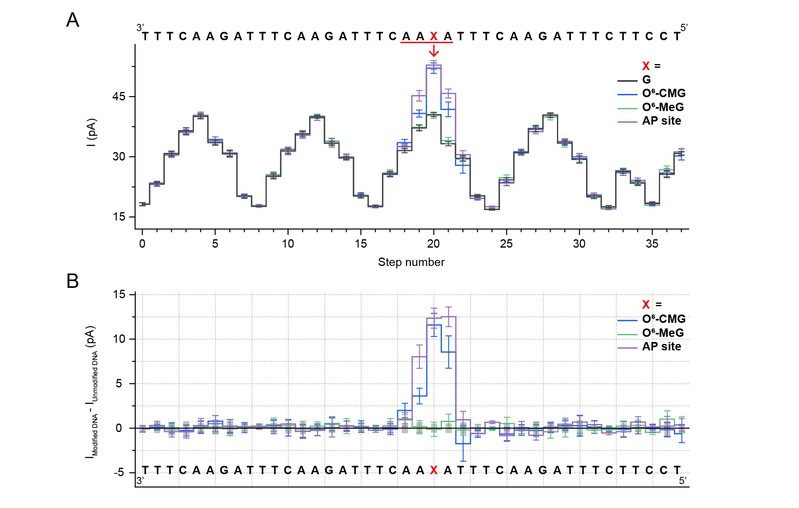 黄硕课题组开发新型纳米孔DNA损伤测序方法