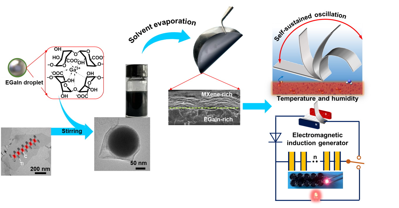 李朝旭研究员：开发液态金属基自振荡异质薄膜材料用于电磁感应湿环境能量收集