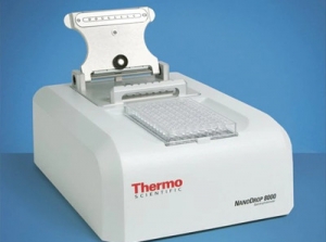 Thermo Scientific™NanoDrop™ 8000 ֹȼ